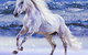 Australian Outback Spectacular: High Country Legends - thumb 1