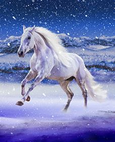 Australian Outback Spectacular: High Country Legends - Accommodation VIC 1