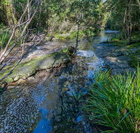 Dawson River walking track - Accommodation VIC
