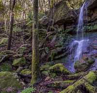 Coorabakh National Park - Accommodation VIC