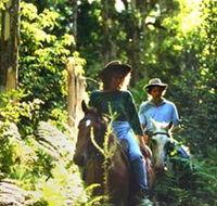 Clarendon Forest Retreat Horse Riding - Accommodation VIC