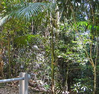 Goorgana walking track - Accommodation VIC