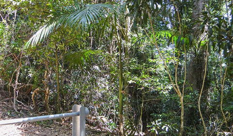 Goorgana Walking Track - Accommodation VIC 0
