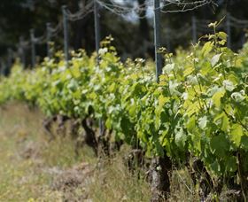Barton Jones Wines - Accommodation VIC 2