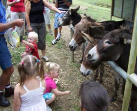 Crystal Creek Miniatures - Accommodation VIC 1
