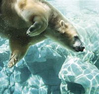 Australia's Sea World - Accommodation VIC