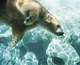 Australia's Sea World - Accommodation VIC 0