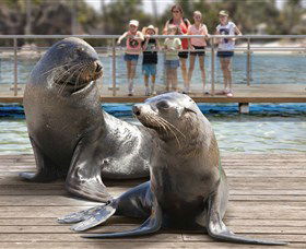 Australia's Sea World - Accommodation VIC 1