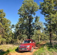 Wallingat Forest drive - Accommodation VIC