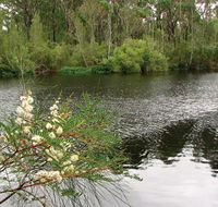 Wallingat National Park - Accommodation VIC