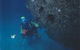 Scottish Prince Dive Site - thumb 1