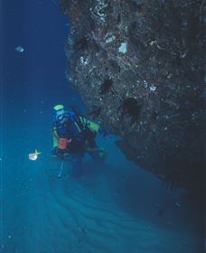 Scottish Prince Dive Site - Accommodation VIC 1
