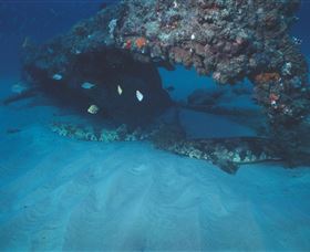 Scottish Prince Dive Site - Accommodation VIC 3