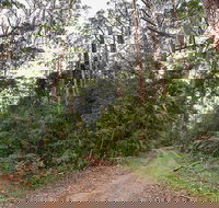 End Peak walking track - Accommodation VIC