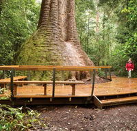 Burrawan State Forest - Accommodation VIC