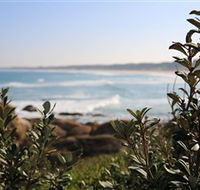 Cape Conran Coastal Park - Accommodation VIC