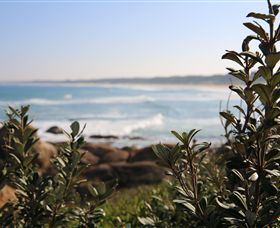 Cape Conran Coastal Park - Accommodation VIC 0