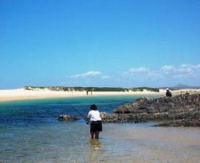 Coffs Coast State Park - Accommodation VIC 2
