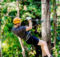 TreeTop Challenge Currumbin - Accommodation VIC