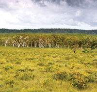 Yuraygir National Park - Accommodation VIC