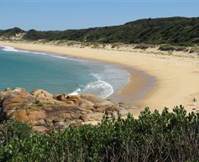 Cape Conran Nature Trail - Accommodation VIC 1
