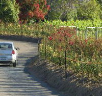 Cassegrain Wines - Accommodation VIC