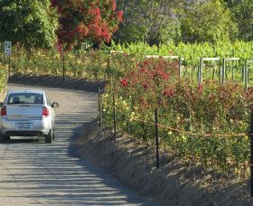 Cassegrain Wines - Accommodation VIC 0