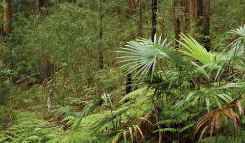 Booti Booti National Park - Accommodation VIC 2