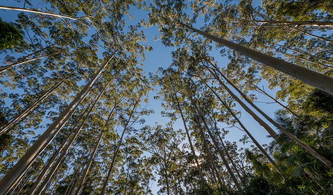 Queens Lake Nature Reserve - Accommodation VIC 2