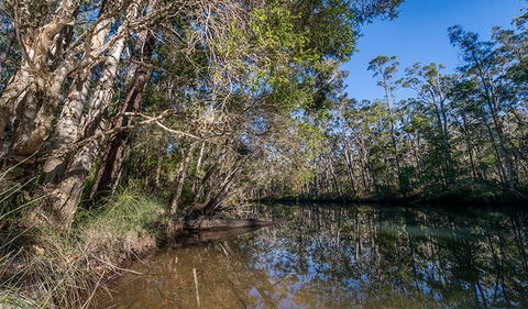 Queens Lake Nature Reserve - Accommodation VIC 3