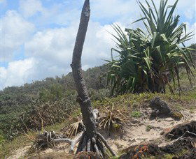 Chinamans Beach Evans Head - Accommodation VIC 2