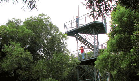 Cape Hawke Lookout - Accommodation VIC 0