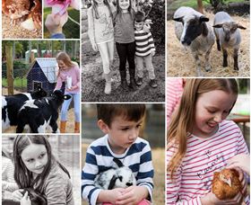 Roses Vineyard And Animal Farm - Accommodation VIC 1