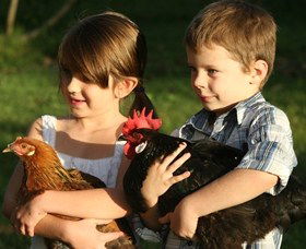 Summerland House Farm - House With No Steps - Accommodation VIC 2
