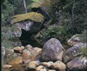 Mumbulla Creek Falls And Picnic Area - Accommodation VIC 1