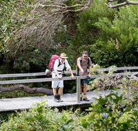 Wilsons Headland walking track - Accommodation VIC