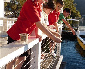 Dunbogan Boatshed - Accommodation VIC 3