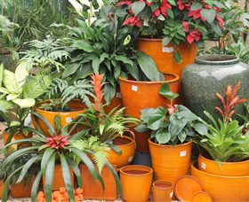 Diamond Waters Garden Nursery - Accommodation VIC 1