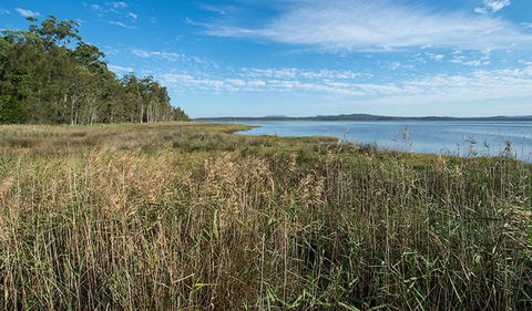 Lake Innes Nature Reserve - Accommodation VIC 3