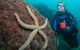 Cook Island Dive Site - thumb 0