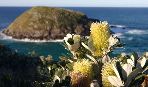 Green Island Walking Track - Accommodation VIC 0