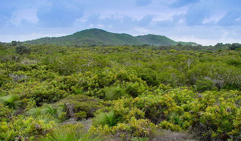 Arakwal National Park - Accommodation VIC 1