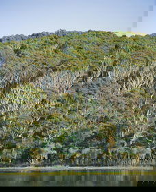 Ben Boyd National Park - Accommodation VIC 5