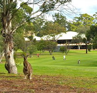 Pambula Merimbula Golf Club - Accommodation VIC