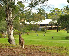 Pambula Merimbula Golf Club - Accommodation VIC 0