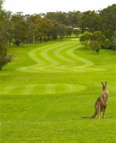 Pambula Merimbula Golf Club - Accommodation VIC 2