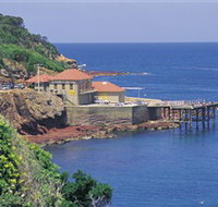 Merimbula Aquarium - Accommodation VIC