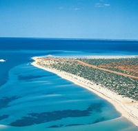 Monkey Mia - Accommodation VIC