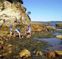 Sapphire Coast Marine Discovery Centre - Accommodation VIC