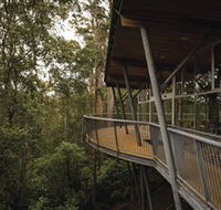 Tarkine Forest Adventures - Dismal Swamp - Accommodation VIC